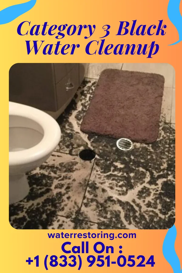 Category 3 Black Water Cleanup in Albion, OK