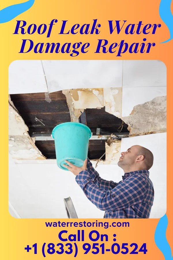 Roof Leak Water Damage Repair in Albion, OK